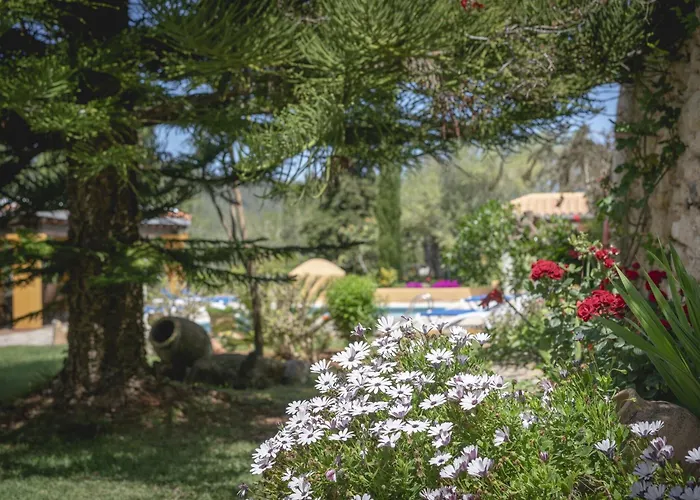 Mansion In With Private Pool
