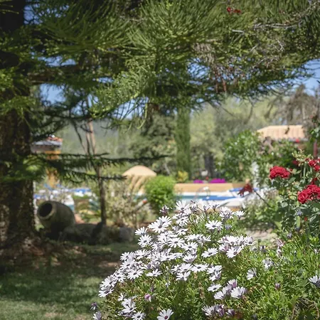 Mansion In With Private Pool